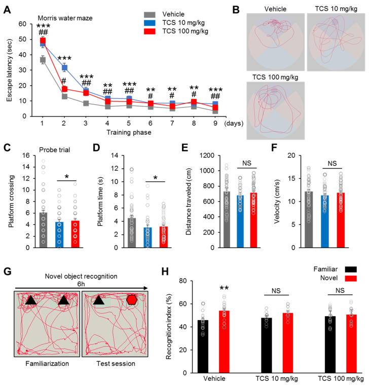 https://cdn.ncbi.nlm.nih.gov/pmc/blobs/d078/7312693/2eeb1992d427/ijms-21-04009-g003.jpg