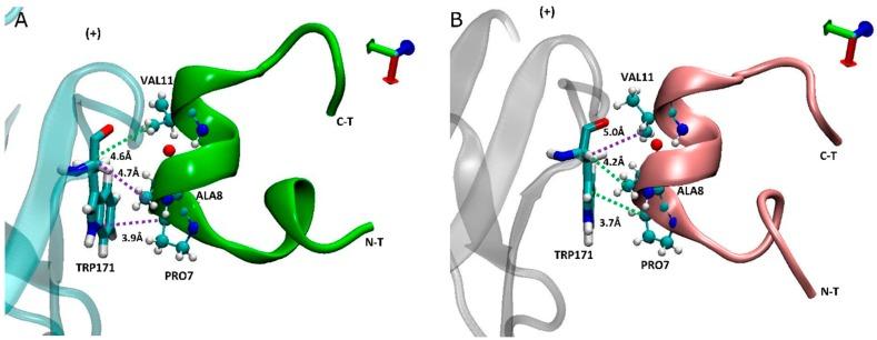 https://cdn.ncbi.nlm.nih.gov/pmc/blobs/d07a/6521072/2e8cce8b3640/marinedrugs-17-00206-g006.jpg