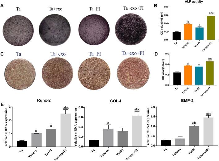 https://cdn.ncbi.nlm.nih.gov/pmc/blobs/d07b/10367419/0e2da8ae416f/fbioe-11-1198545-g005.jpg