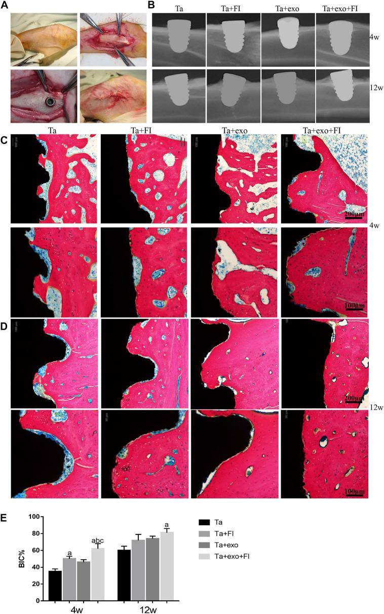 https://cdn.ncbi.nlm.nih.gov/pmc/blobs/d07b/10367419/66c1aaebefa5/fbioe-11-1198545-g006.jpg