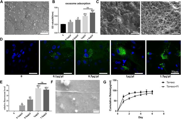 https://cdn.ncbi.nlm.nih.gov/pmc/blobs/d07b/10367419/a560135fb7ee/fbioe-11-1198545-g003.jpg