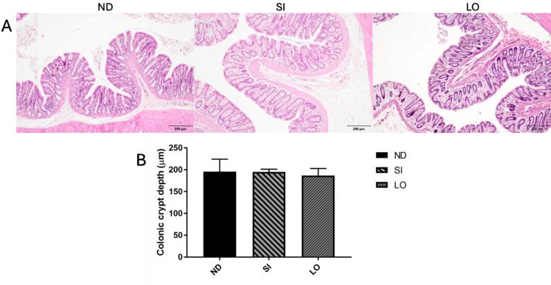 https://cdn.ncbi.nlm.nih.gov/pmc/blobs/d07b/11841868/4852cf40a7ab/pone.0319066.g007.jpg
