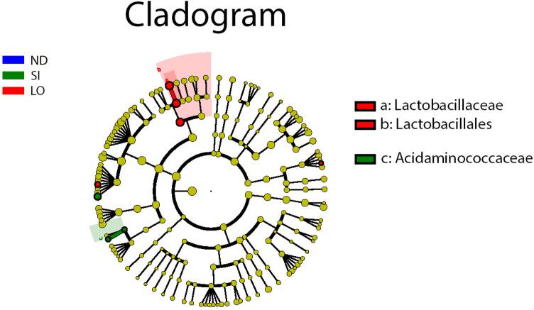 https://cdn.ncbi.nlm.nih.gov/pmc/blobs/d07b/11841868/eee68b9b85ec/pone.0319066.g005.jpg
