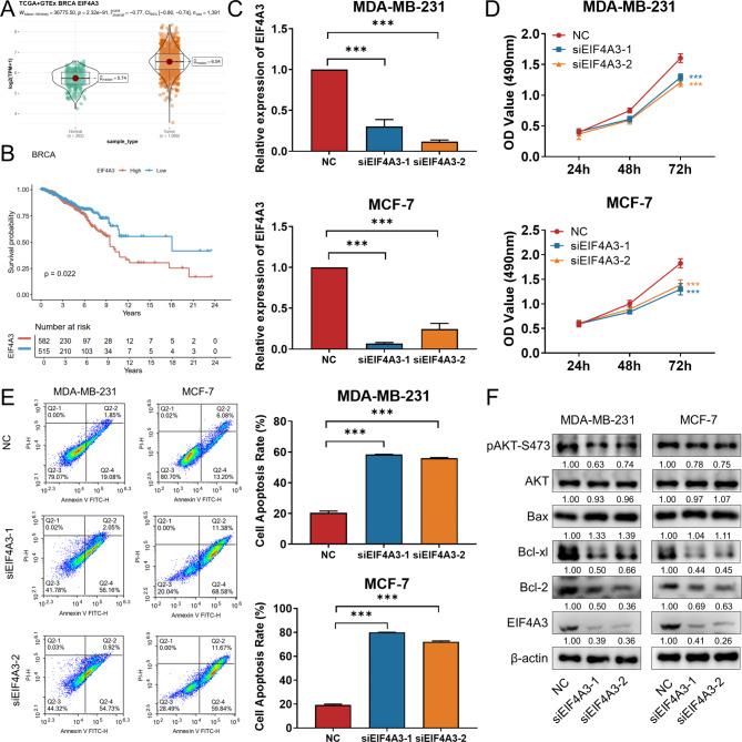 https://cdn.ncbi.nlm.nih.gov/pmc/blobs/d07c/11373126/1ee03f09a036/12967_2024_5639_Fig3_HTML.jpg