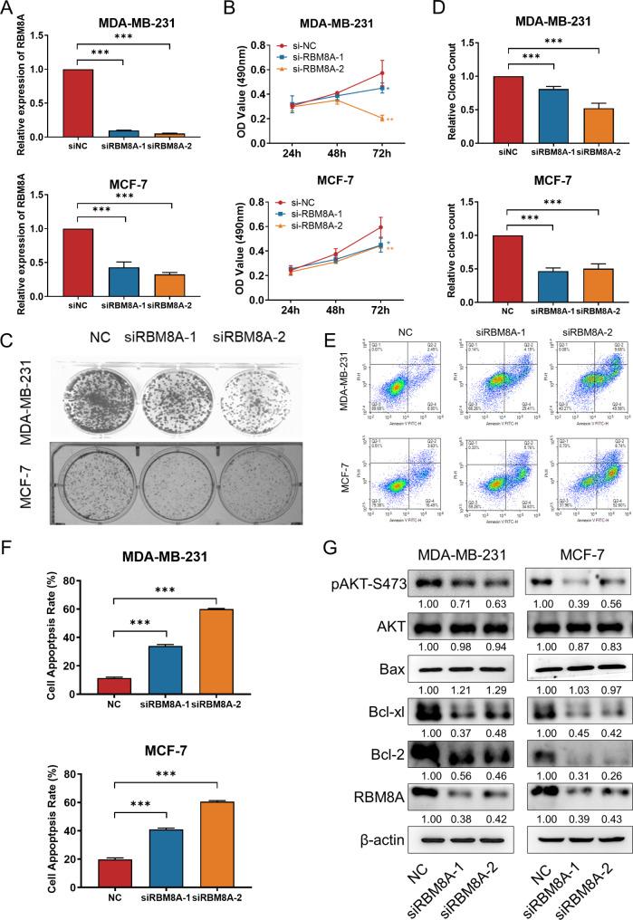 https://cdn.ncbi.nlm.nih.gov/pmc/blobs/d07c/11373126/978670810d6c/12967_2024_5639_Fig2_HTML.jpg