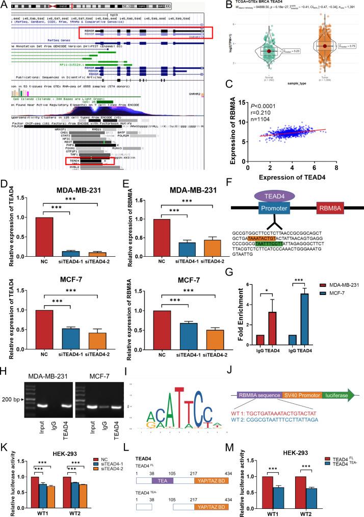 https://cdn.ncbi.nlm.nih.gov/pmc/blobs/d07c/11373126/9a06e744c808/12967_2024_5639_Fig8_HTML.jpg