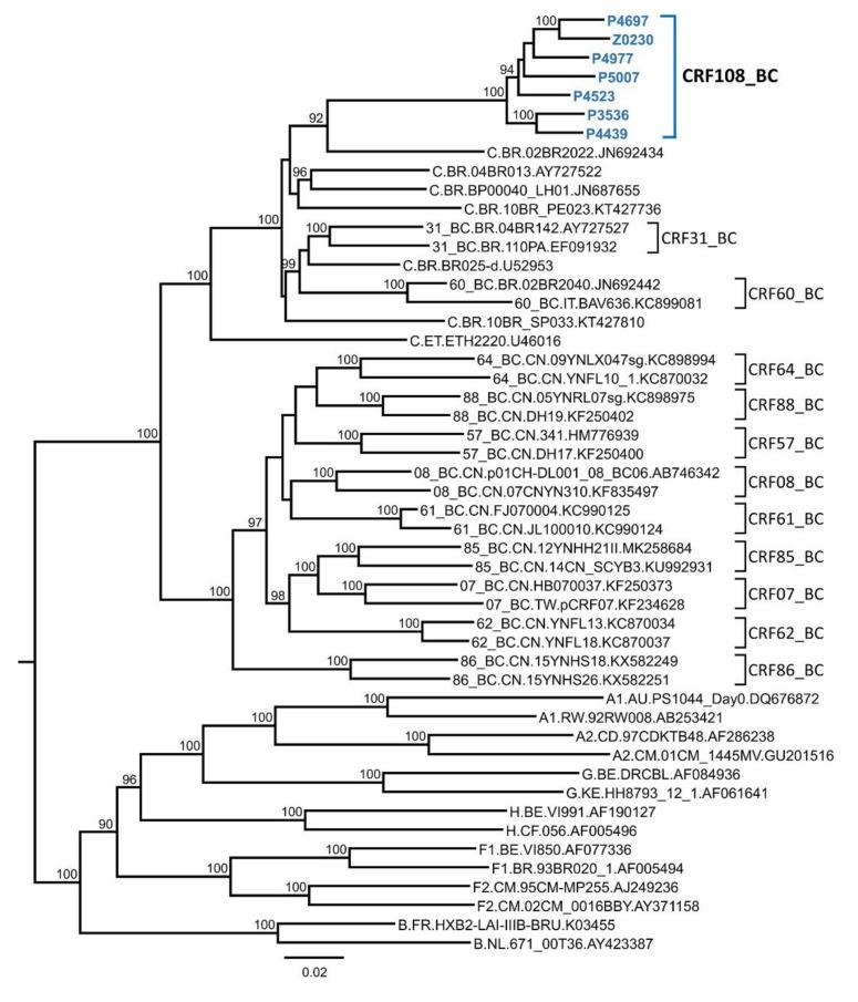 https://cdn.ncbi.nlm.nih.gov/pmc/blobs/d07d/7826730/b99ef16bda12/viruses-13-00093-g003.jpg