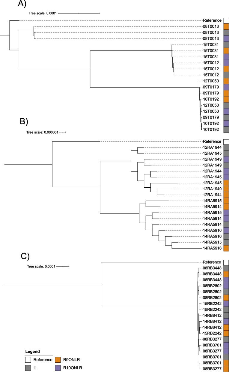 https://cdn.ncbi.nlm.nih.gov/pmc/blobs/d07f/10182678/589249bfcf8d/12864_2023_9343_Fig3_HTML.jpg