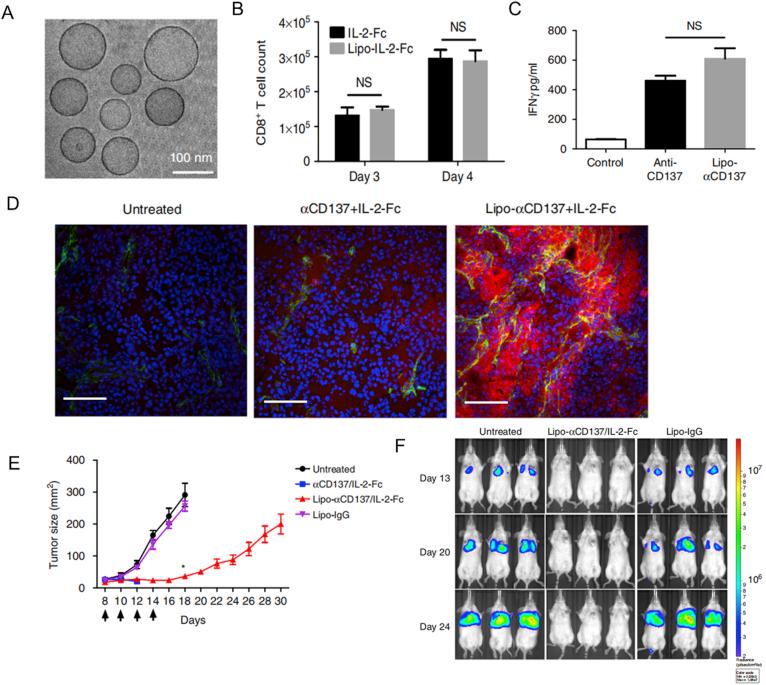 https://cdn.ncbi.nlm.nih.gov/pmc/blobs/d082/8799879/94c697c3a510/gr5.jpg