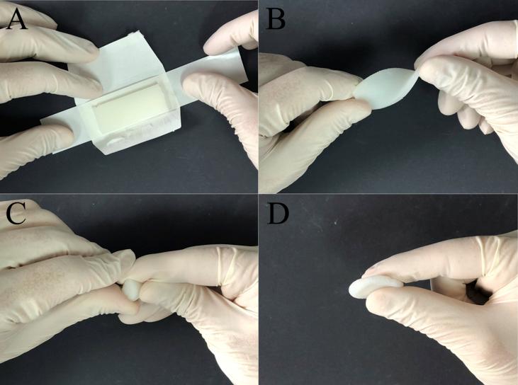 https://cdn.ncbi.nlm.nih.gov/pmc/blobs/d084/6551357/30ad10dcbf5c/gr1.jpg