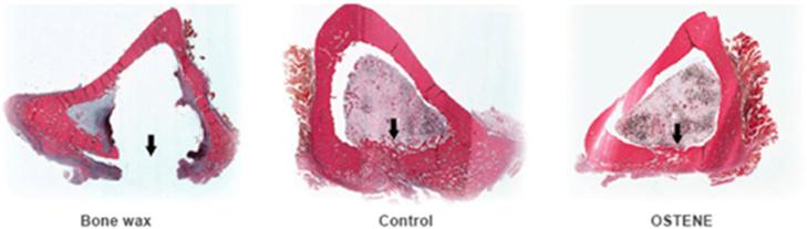 https://cdn.ncbi.nlm.nih.gov/pmc/blobs/d084/6551357/3ac732c914f7/gr3.jpg