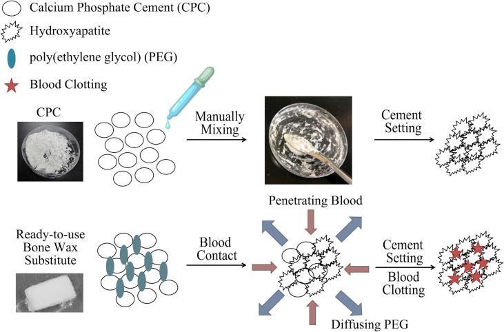 https://cdn.ncbi.nlm.nih.gov/pmc/blobs/d084/6551357/f7cb27fd01cf/gr4.jpg