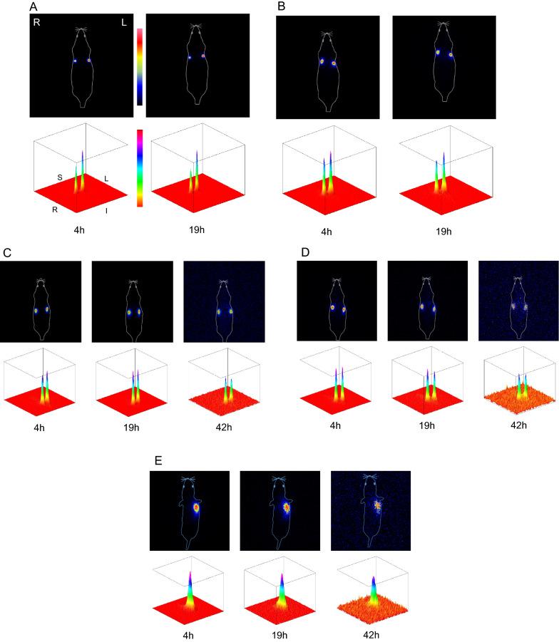 https://cdn.ncbi.nlm.nih.gov/pmc/blobs/d085/8317303/253f84f10274/12951_2021_963_Fig3_HTML.jpg