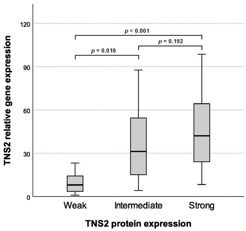 https://cdn.ncbi.nlm.nih.gov/pmc/blobs/d086/9265085/21f0d43d46ff/cancers-14-03212-g003.jpg