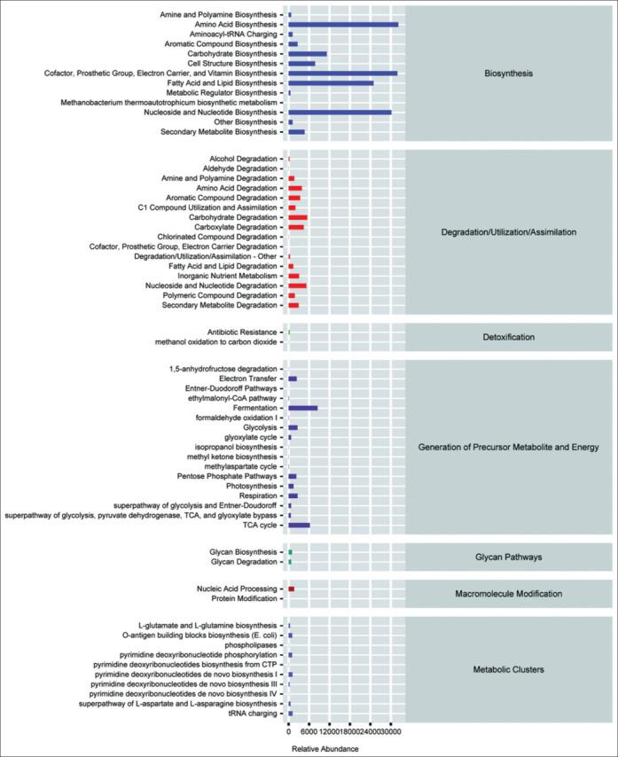 https://cdn.ncbi.nlm.nih.gov/pmc/blobs/d087/12178423/93aa079ed6cb/IJO-73-410-g006.jpg