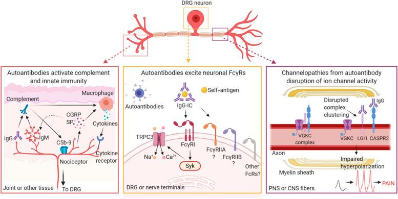https://cdn.ncbi.nlm.nih.gov/pmc/blobs/d087/8108590/f1d6b2801e66/painreports-6-e905-g001.jpg