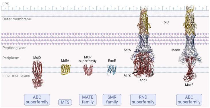 https://cdn.ncbi.nlm.nih.gov/pmc/blobs/d088/11091901/bae28235b0b8/id4c00091_0001.jpg