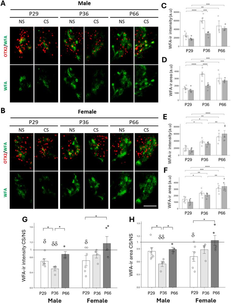 https://cdn.ncbi.nlm.nih.gov/pmc/blobs/d088/12395977/6fcb4005a221/gr4.jpg