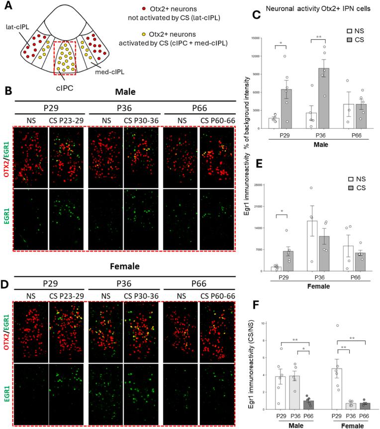 https://cdn.ncbi.nlm.nih.gov/pmc/blobs/d088/12395977/ff9c510c43ce/gr2.jpg