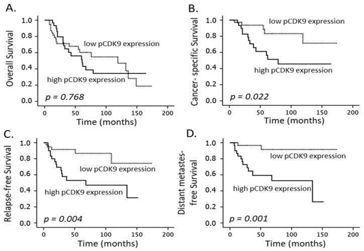 https://cdn.ncbi.nlm.nih.gov/pmc/blobs/d089/9688434/255bbb304fd1/cancers-14-05500-g004.jpg