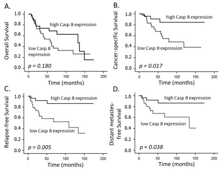 https://cdn.ncbi.nlm.nih.gov/pmc/blobs/d089/9688434/7a422d2f3631/cancers-14-05500-g002.jpg
