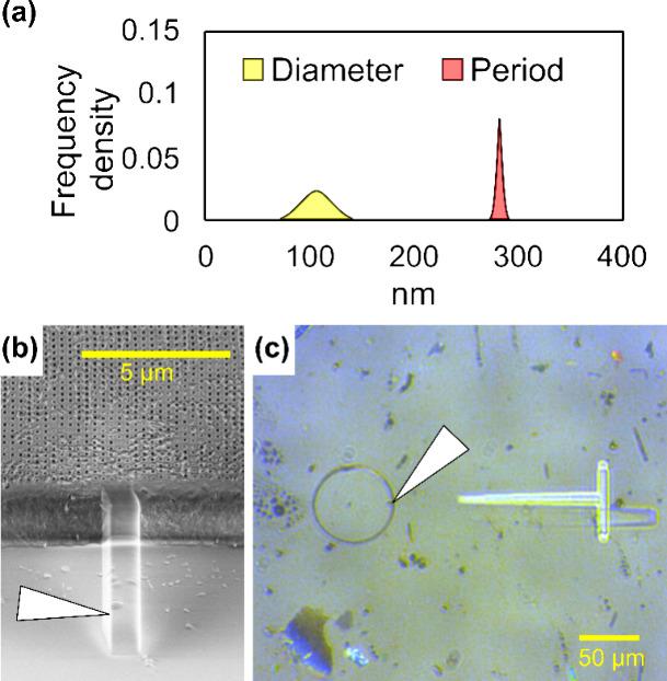 https://cdn.ncbi.nlm.nih.gov/pmc/blobs/d08c/12039964/77c45f9ce0f7/an4c06526_0003.jpg
