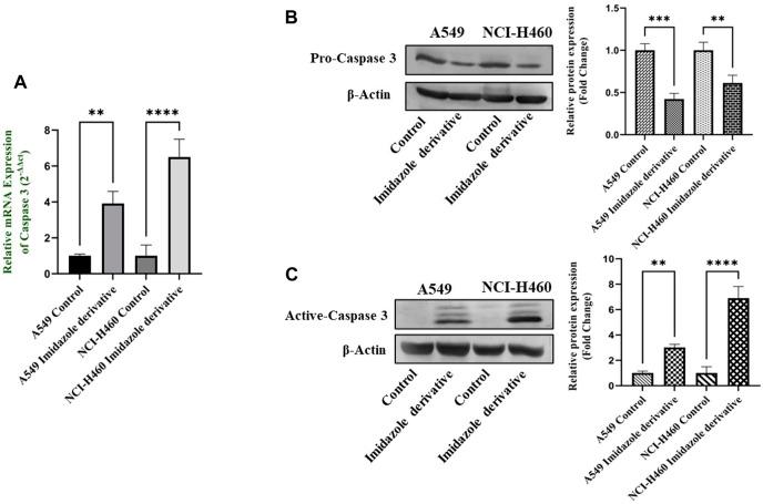 https://cdn.ncbi.nlm.nih.gov/pmc/blobs/d08e/10791838/0ad76aa5fc06/fphar-14-1335305-g006.jpg