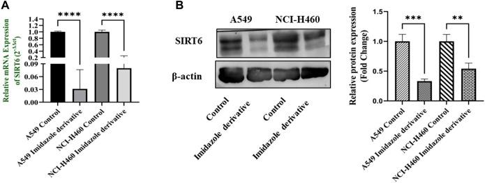 https://cdn.ncbi.nlm.nih.gov/pmc/blobs/d08e/10791838/0ea6b0b3b248/fphar-14-1335305-g002.jpg