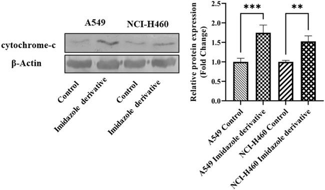 https://cdn.ncbi.nlm.nih.gov/pmc/blobs/d08e/10791838/ac019494d296/fphar-14-1335305-g004.jpg