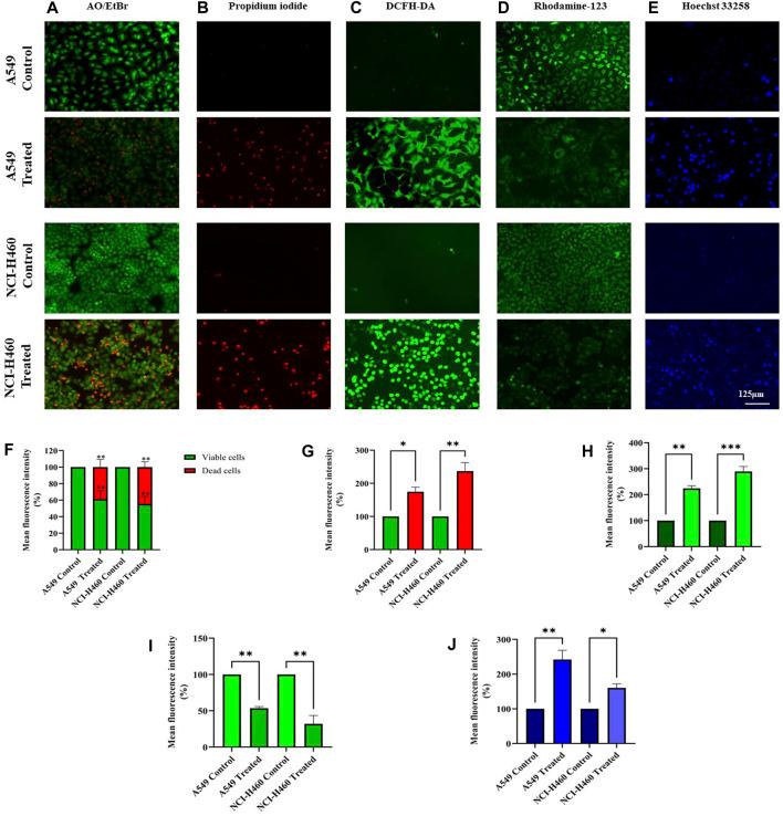 https://cdn.ncbi.nlm.nih.gov/pmc/blobs/d08e/10791838/b40b9017ab57/fphar-14-1335305-g007.jpg