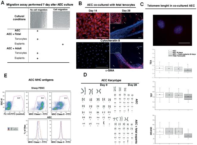 https://cdn.ncbi.nlm.nih.gov/pmc/blobs/d08e/3277591/447717e26b94/pone.0030974.g003.jpg