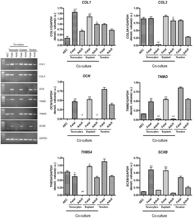 https://cdn.ncbi.nlm.nih.gov/pmc/blobs/d08e/3277591/9891e676fe22/pone.0030974.g006.jpg