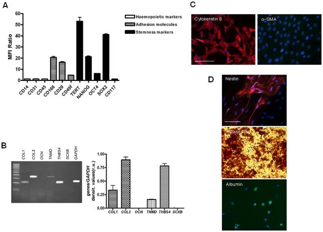 https://cdn.ncbi.nlm.nih.gov/pmc/blobs/d08e/3277591/a757d113ea2f/pone.0030974.g001.jpg