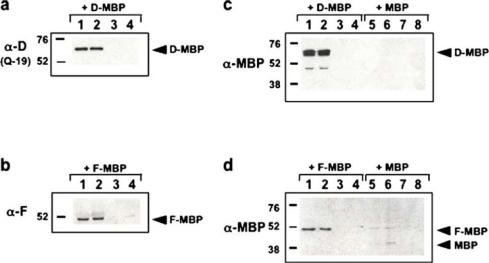 https://cdn.ncbi.nlm.nih.gov/pmc/blobs/d091/2782108/2ef732e58283/10863_2008_Article_9161_Fig6.jpg
