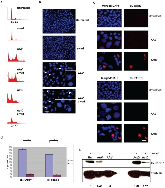 https://cdn.ncbi.nlm.nih.gov/pmc/blobs/d091/3154265/073293253ff7/pone.0022946.g002.jpg