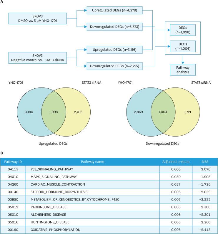 https://cdn.ncbi.nlm.nih.gov/pmc/blobs/d092/11964963/a384917882ab/jgo-36-e24-g005.jpg