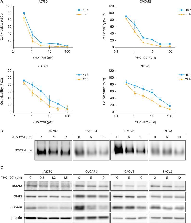 https://cdn.ncbi.nlm.nih.gov/pmc/blobs/d092/11964963/bbd9bf1f155a/jgo-36-e24-g001.jpg