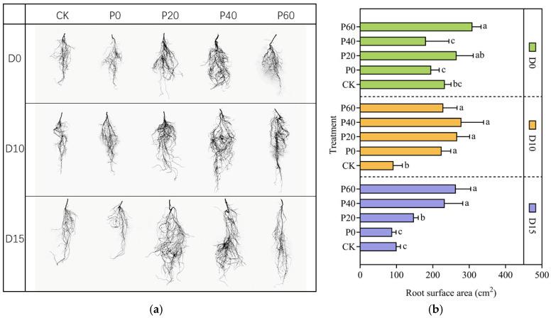 https://cdn.ncbi.nlm.nih.gov/pmc/blobs/d093/12030557/8b14c04694d8/plants-14-01236-g007.jpg