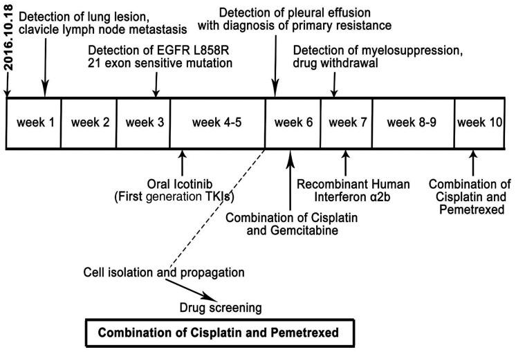 https://cdn.ncbi.nlm.nih.gov/pmc/blobs/d094/7509736/89b0e6f2496a/10.1177_0300060520955058-fig1.jpg