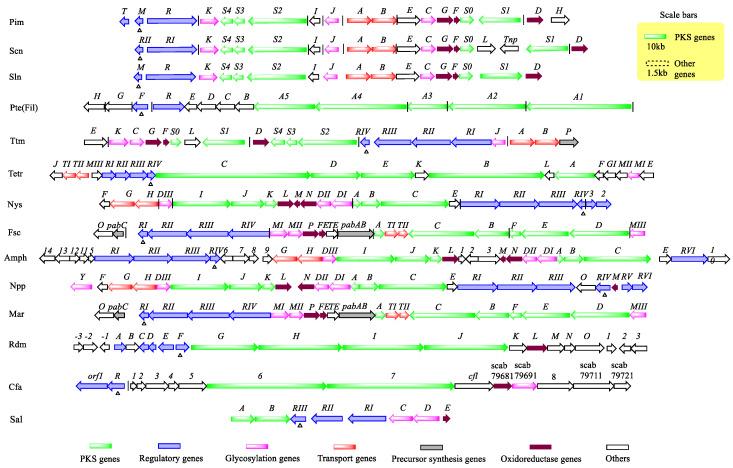 https://cdn.ncbi.nlm.nih.gov/pmc/blobs/d094/9774167/20c11c1446bd/antibiotics-11-01783-g002.jpg