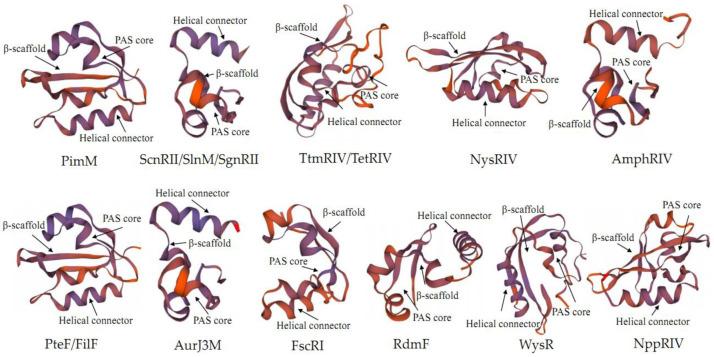 https://cdn.ncbi.nlm.nih.gov/pmc/blobs/d094/9774167/e9ee7cfacc4a/antibiotics-11-01783-g004.jpg