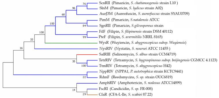 https://cdn.ncbi.nlm.nih.gov/pmc/blobs/d094/9774167/ed748184e4ee/antibiotics-11-01783-g006.jpg