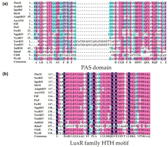 https://cdn.ncbi.nlm.nih.gov/pmc/blobs/d094/9774167/fe6f97ab5c42/antibiotics-11-01783-g003.jpg