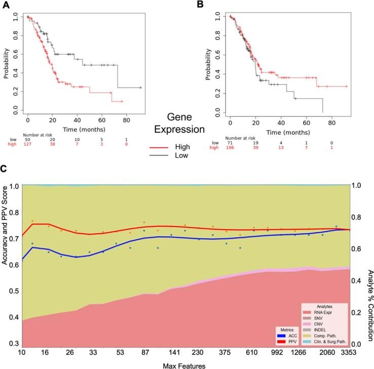 https://cdn.ncbi.nlm.nih.gov/pmc/blobs/d095/10899109/796e6b676e42/43018_2023_697_Fig10_ESM.jpg