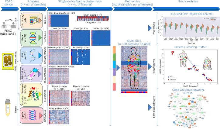 https://cdn.ncbi.nlm.nih.gov/pmc/blobs/d095/10899109/a31aee400025/43018_2023_697_Fig6_HTML.jpg