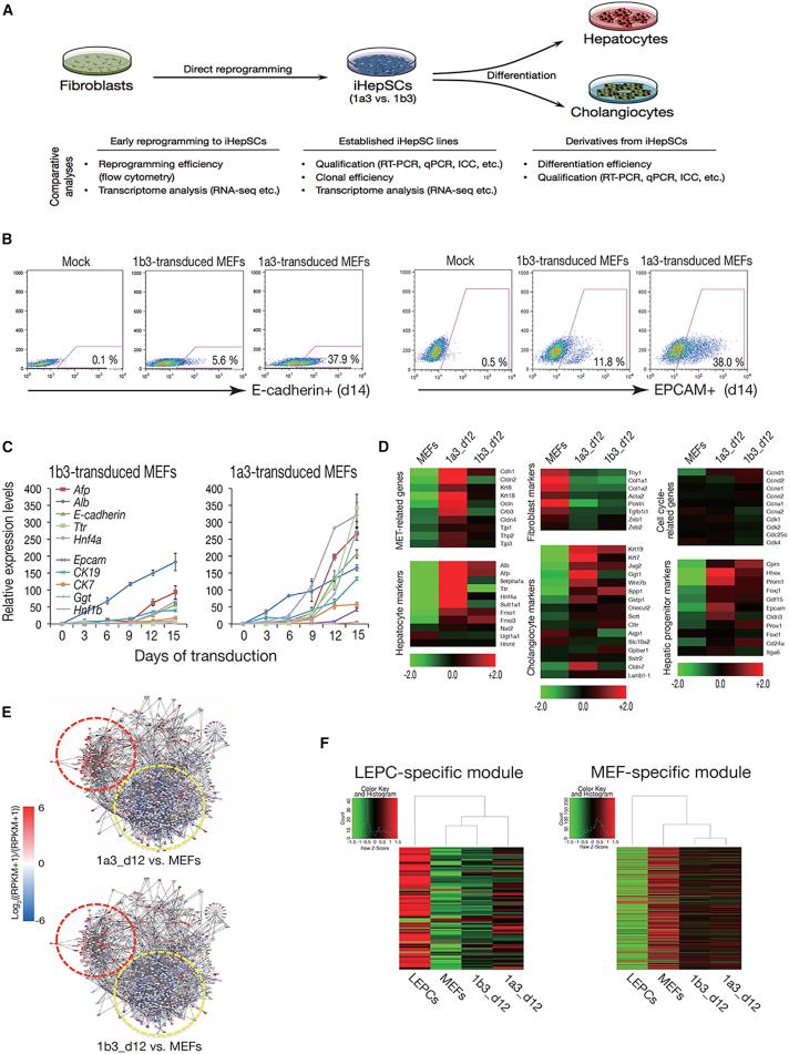 https://cdn.ncbi.nlm.nih.gov/pmc/blobs/d095/5995161/59a5f730f523/gr3.jpg