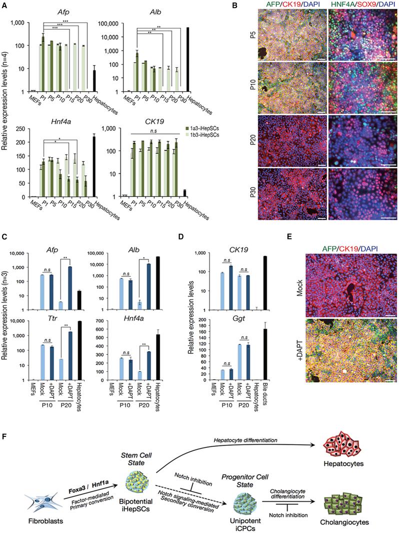 https://cdn.ncbi.nlm.nih.gov/pmc/blobs/d095/5995161/6346d881fc3d/gr6.jpg