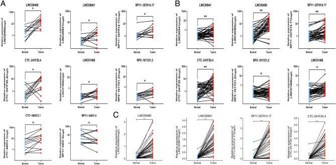 https://cdn.ncbi.nlm.nih.gov/pmc/blobs/d096/10980800/32b9af338cf6/41598_2024_57987_Fig2_HTML.jpg