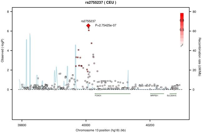 https://cdn.ncbi.nlm.nih.gov/pmc/blobs/d097/2869325/4721727421d8/pgen.1000947.g002.jpg