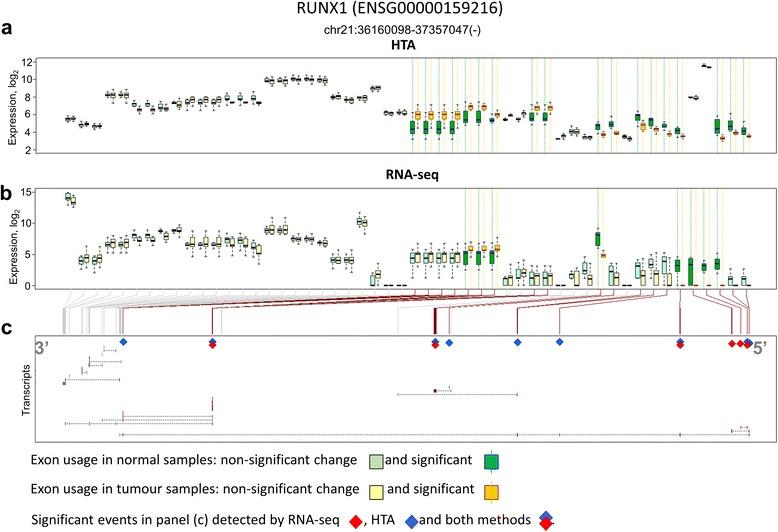 https://cdn.ncbi.nlm.nih.gov/pmc/blobs/d099/5461714/4d5ad97e8ee9/12864_2017_3819_Fig7_HTML.jpg